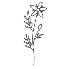 Line art floral 