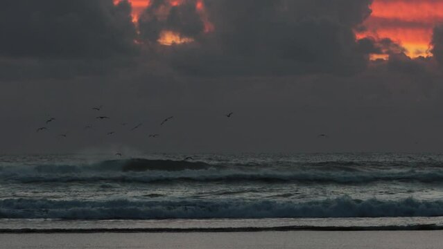 Rough sea in stormy weather and birds flying over it