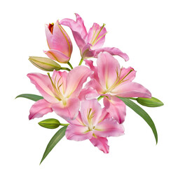 Pink lily flower bouquet isolated on transparent background - 606799763
