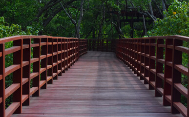 Fototapeta premium The bridge is a wooden bridge, a walkway for viewing nature.
