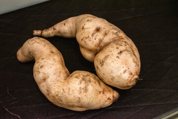 Pair sweet potatoes with isolated black background.