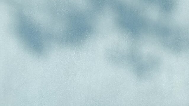 Shadow of tree leaves in the wind on blue texture background, backdrop for reel, stories