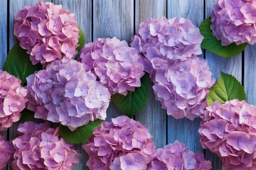 青色の木目テーブルの上に飾られたアジサイの花