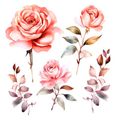 set of rosegold floral watercolor, flower set, leaf and branch watercolor