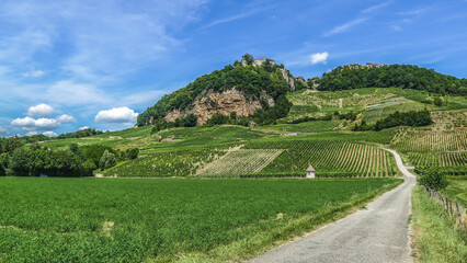 Fototapeta na wymiar Route traversant le vignoble de Château Chalon dans le Jura