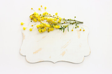 top view of yellow mimosa flowers and empty board over white background. For mock up, copy space