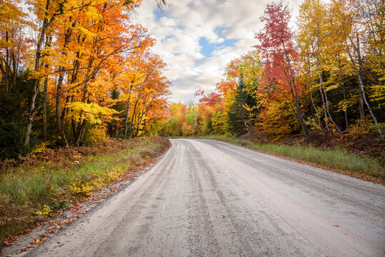  Stunning autumn colours along a gravel forest road on a partly cloudy dy.