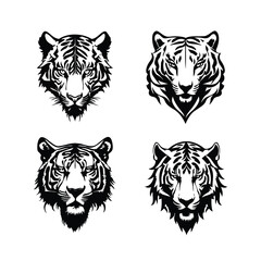 Tiger line drawing illustration isolated vector