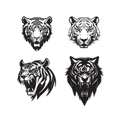 Tiger line drawing illustration isolated vector