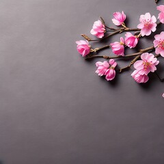 Pink flowers on a gray background