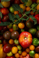 Organic heirloom red green cherry tomatoes from above