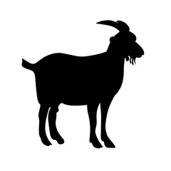 vector illustration of goat silhouettee