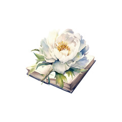 Watercolor white Peony floral book, summer floral blossom, Generative AI, png image.