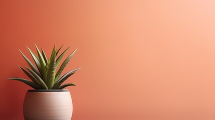 An image of plant indoor illustration for background presentation template. Ai generative 