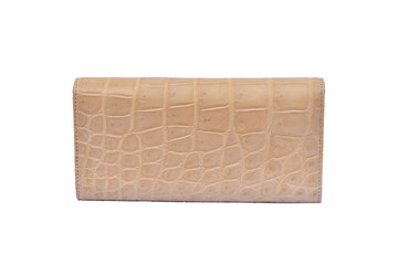 Fashion Leather Hand Bag Isolated on White 