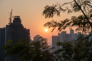 The sunset in Kowloon, under the Garden Hill in Sham Shui Po, Hong Kong, behind the leaves.