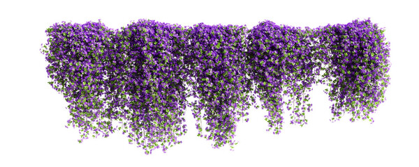 Group of Phlox Paniculata creeper plants, isolated on transparent background. 3D render.