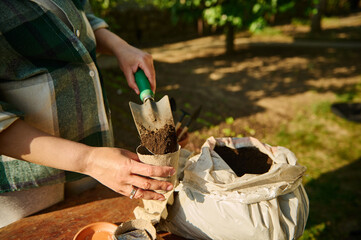 Close-up of a female eco farmer, amateur agriculturist putting fertilized black soil into peat pots. Spring planting ad gardening. Preparing biodegradable peat pots for organic farming food production