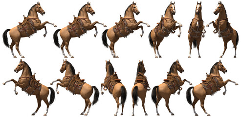 horse reared saddled 360°