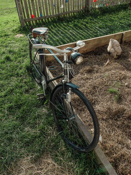 An old retro bike in the backyard, on the green grass, with a chicken standing next to it.