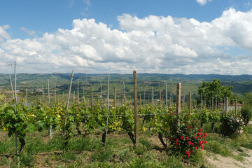 Panorama delle Langhe dal Belvedere de La Morra in provincia di Cuneo, Piemonte, Italia.