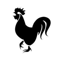 rooster isolated on white background