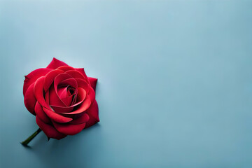 red rose head on a blue background