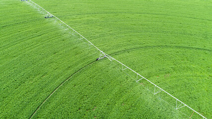 aerial view of crops being watered