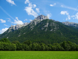 Fototapeta na wymiar snow at mountain top in the summer nearby green vegetation