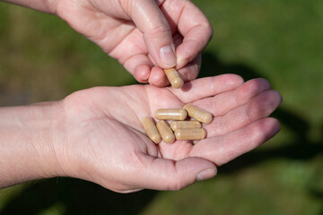 Capsules with natural dietary supplements for vegetarians, medical ashwagandha