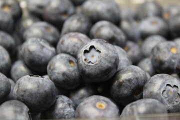 Fresh blueberries