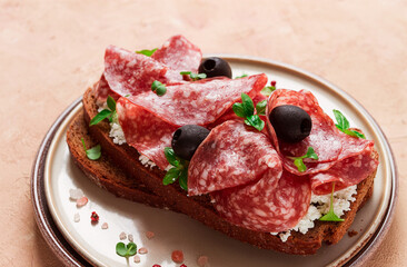 Sandwich , grain bread, with cream cheese and salami, black olives, micro-greens, top view, close-up, no people, Breakfast,