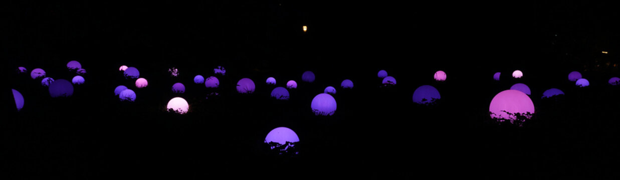 Incanto di luci 2023, Orto botanico di Roma