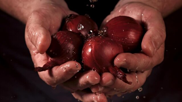 Onion in hands. Filmed is slow motion 1000 fps. High quality FullHD footage