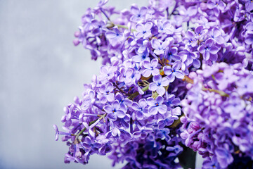 Bouquet of lilac flowers on a gray background.
