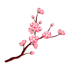 Fototapeta na wymiar Sakura flower water color 