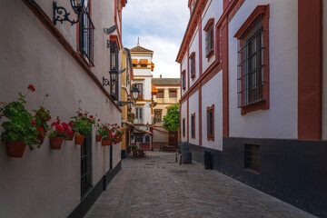 Fototapeta premium Juderia Street - Seville, Andalusia, Spain