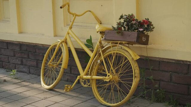 Yellow vintage bicycle with a box of flowers on the background of the wall