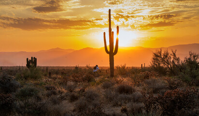 Mountain Biker On Desert Trail At Sunrise Time In Arizona 