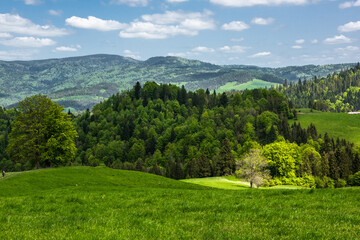 Fototapeta na wymiar Pieniny National Park in Carpathian Mountains in Poland at summer day