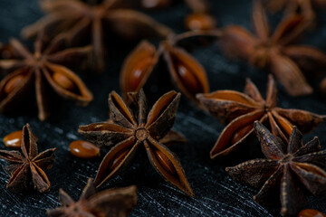 Star Anise plant on a black background
