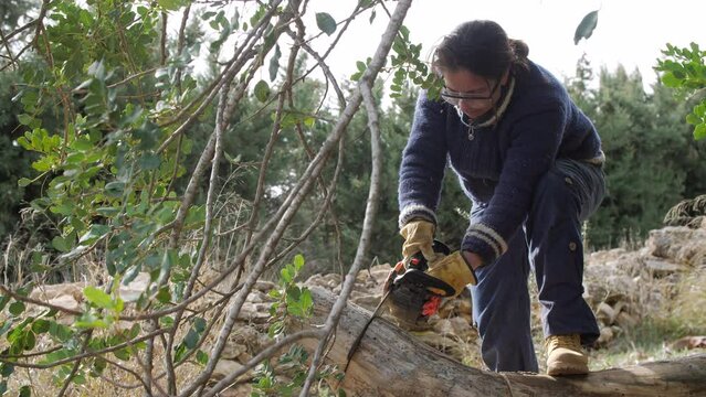Woman Pruning Olive Trees with a Chainsaw