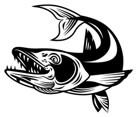 Black and white illustration of a predatory fish. Fishing logo. Pike isolated. Big fish with teeth.