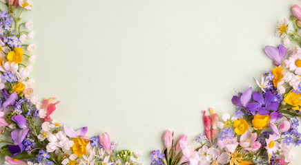 floral flat lay from different wildflowers on a light blue background. Top view