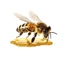 Bee with Juicy Honey on Transparent Background. AI