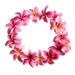 Foto op Aluminium Pink Frangipani flower lei from Hawaii on transparent background. AI © Usmanify