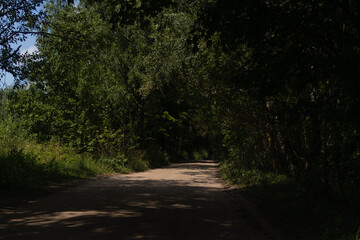 Fototapeta premium Beautiful rural road in the countryside, day landscape