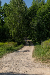 Beautiful rural road in the countryside, day landscape