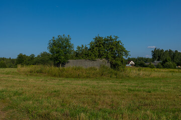 Fototapeta premium Beautiful rural road in the countryside, day landscape