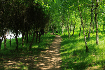 Beautiful rural road in the countryside, day landscape